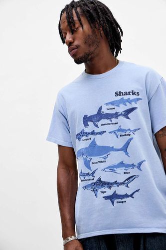 T-shirt graphique décontracté UO Shark Chart par en taille: XS - Urban Outfitters - Modalova