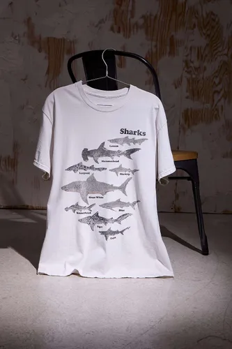 T-shirt UO Sharks par taille: XS - Urban Outfitters - Modalova