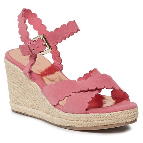 Espadrilles Ted Baker 251801 Pink - Chaussures.fr - Modalova
