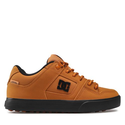 Sneakers DC Pure Wnt ADYS300151 Wheat (WE9) - Chaussures.fr - Modalova