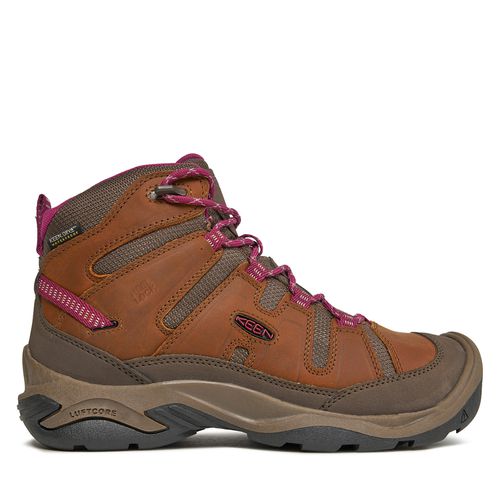 Chaussures de trekking Keen Circadia Mid Wp 1026765-10 Syrup/Boysenberry - Chaussures.fr - Modalova