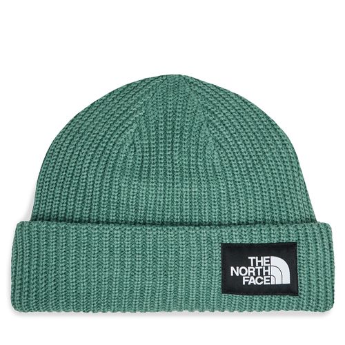 Bonnet The North Face Salty Lined BeanieNF0A3FJWI0F1 Vert - Chaussures.fr - Modalova