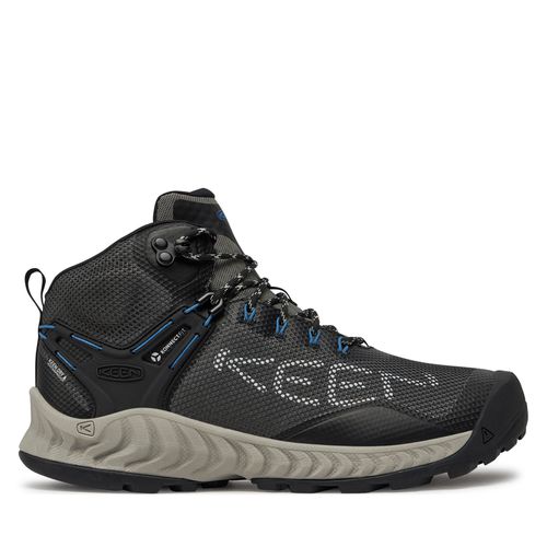 Chaussures de trekking Keen Nxis Evo Mid Wp 1026108 Magnet/Bright Cobalt - Chaussures.fr - Modalova