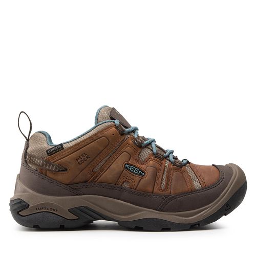 Chaussures de trekking Keen Circadia Wp 1026771 Syrup/North Atlantic - Chaussures.fr - Modalova