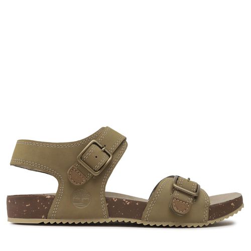 Sandales Timberland Castle Island 2 Strap TB0A5WFWDR01 Beige - Chaussures.fr - Modalova