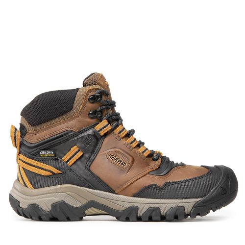 Chaussures de trekking Keen Ridge Flex Mid Wp M 1025666 Bison/Golden Bro - Chaussures.fr - Modalova