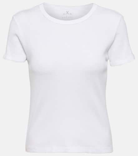 Velvet T-shirt Brenny en coton - Velvet - Modalova