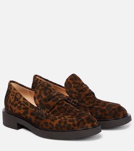 Mocassins Harris en daim  motif lopard - Gianvito Rossi - Modalova