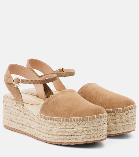 Gianvito Rossi Espadrilles en daim - Gianvito Rossi - Modalova