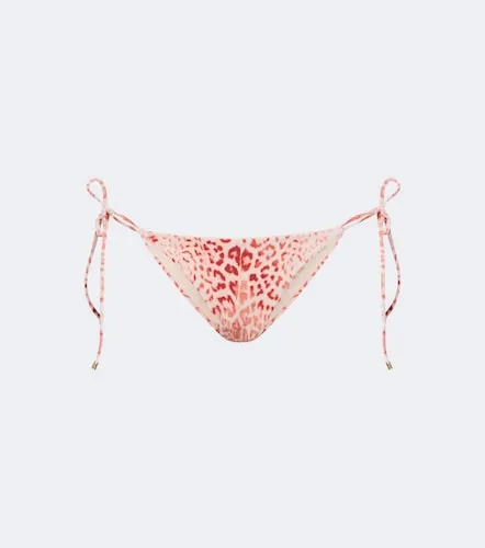 Culotte de bikini à imprimé léopard - Roberto Cavalli - Modalova