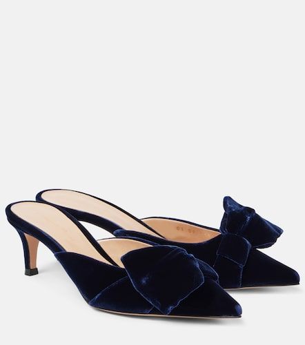 Mules 55 en velours à nœud - Gianvito Rossi - Modalova
