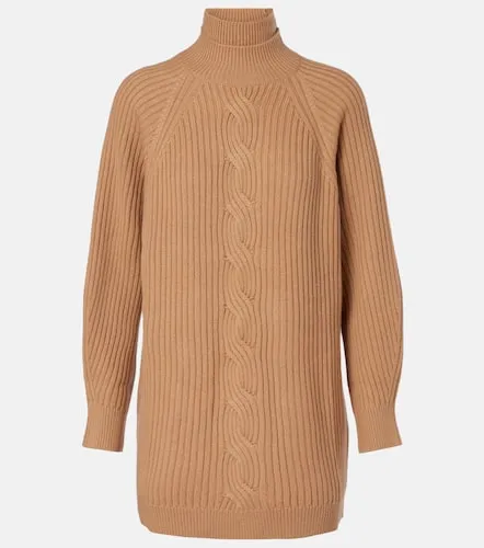 Pull à col roulé Alcazar en laine et cachemire - Max Mara - Modalova