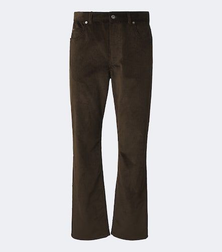Pantalon droit en velours côtelé de coton - Loewe - Modalova