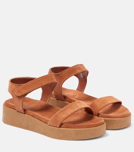 Sandales à plateforme Salamina en daim - Ancient Greek Sandals - Modalova