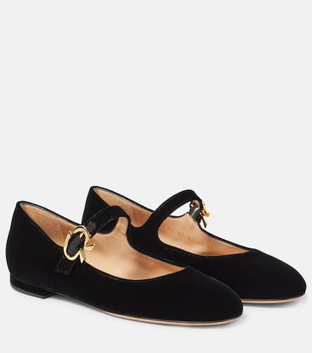 Ballerines Mary Ribbon 05 en velours - Gianvito Rossi - Modalova