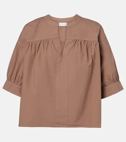 Velvet Blouse Yuna en coton - Velvet - Modalova