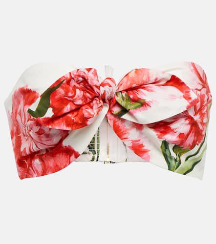 Top bandeau en coton à fleurs - Dolce&Gabbana - Modalova