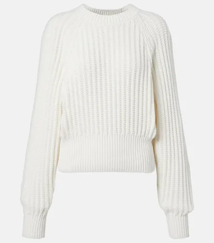Loro Piana Pull Moltrasio en coton - Loro Piana - Modalova