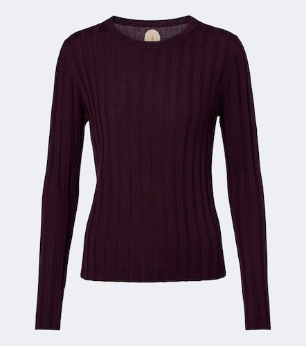Pull en laine vierge côtelée - Jardin des Orangers - Modalova