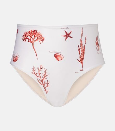 Culotte de bikini Magdalena imprimée - Agua by Agua Bendita - Modalova