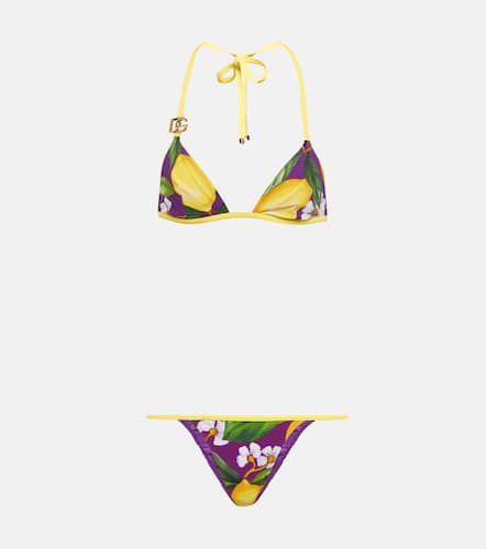 Bikini triangle imprimé - Dolce&Gabbana - Modalova