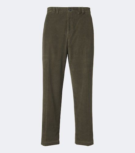 Pantalon droit en velours de coton - Canali - Modalova