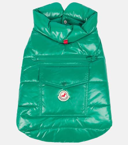 Manteau pour chien Poldo Dog Couture - Moncler - Modalova