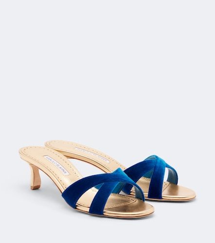 Mules Callydramu en velours - Manolo Blahnik - Modalova