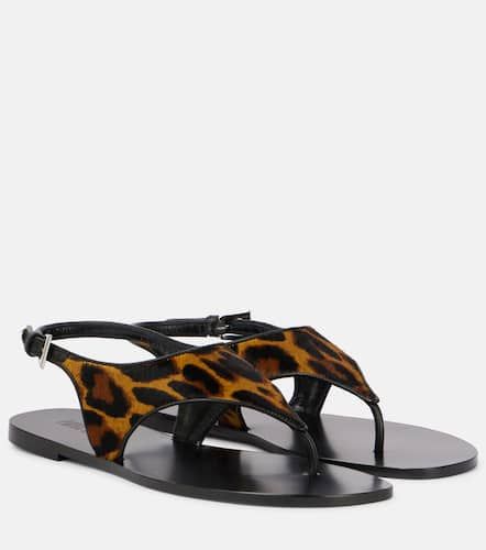 Sandales Amalfi en cuir faon poulain  motif lopard - Paris Texas - Modalova
