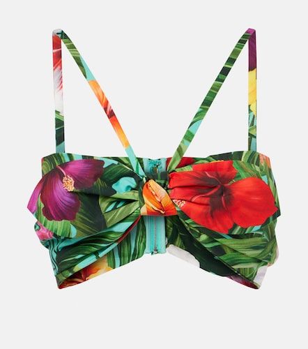 Brassière en coton à fleurs - Dolce&Gabbana - Modalova