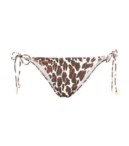 Culotte de bikini imprimée - Tory Burch - Modalova