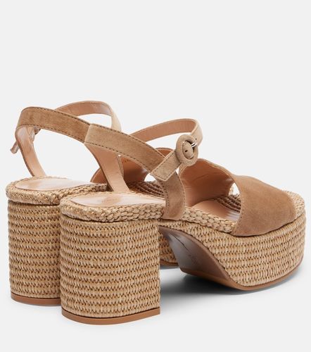 Espadrilles Carol à plateau en daim - Gianvito Rossi - Modalova