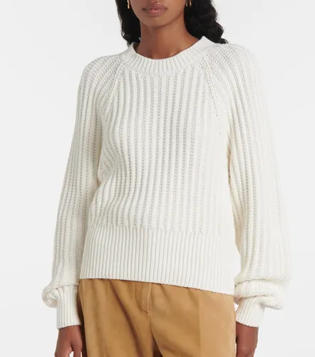 Loro Piana Pull Moltrasio en coton - Loro Piana - Modalova