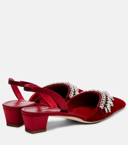 Escarpins slingback Bequila 30 en velours - Manolo Blahnik - Modalova