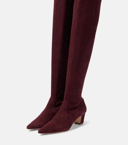 Cuissardes Lupasca en daim - Manolo Blahnik - Modalova