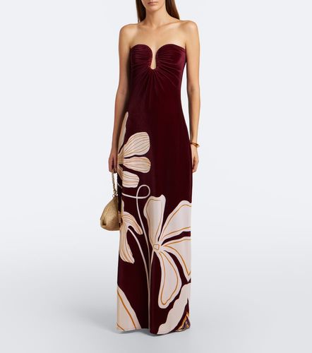 Robe longue bustier Yves en velours - Cala de la Cruz - Modalova