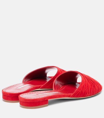 Mules Piruaflat en daim - Manolo Blahnik - Modalova