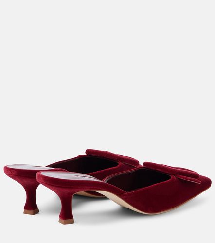 Mules Maysale 50 en velours - Manolo Blahnik - Modalova