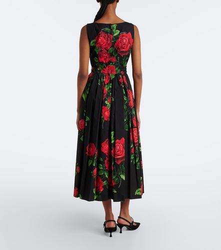 Robe midi en coton à fleurs - Dolce&Gabbana - Modalova