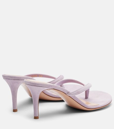 Mules Calypso en daim - Gianvito Rossi - Modalova