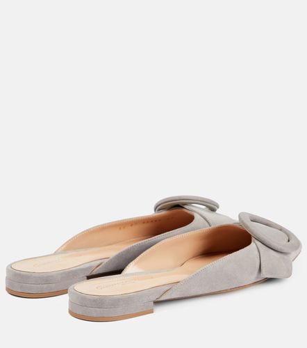 Gianvito Rossi Ballerines en daim - Gianvito Rossi - Modalova