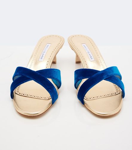 Mules Callydramu en velours - Manolo Blahnik - Modalova