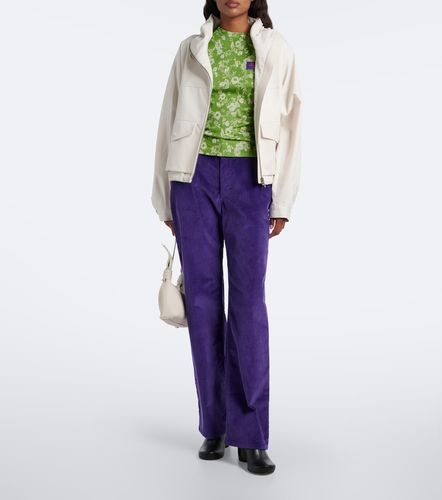 Pantalon droit en velours de coton - Loewe - Modalova