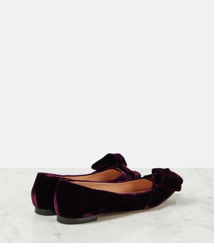 Ballerines en velours à nœud - Gianvito Rossi - Modalova