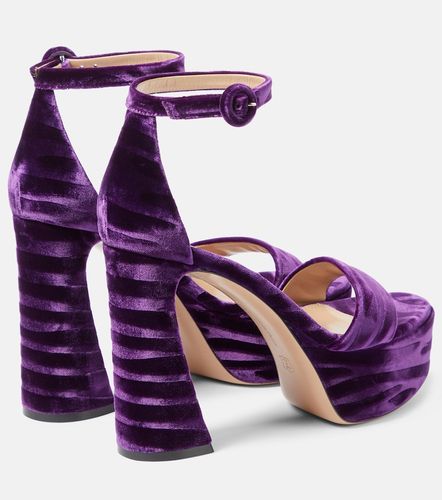 Sandales Holly à plateau en velours - Gianvito Rossi - Modalova