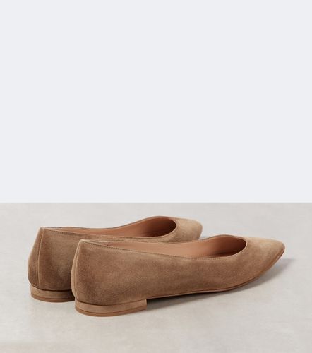Ballerines Gianvito en daim - Gianvito Rossi - Modalova