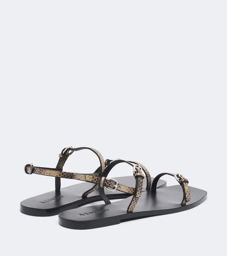 Sandales Adley en cuir façon serpent - A.Emery - Modalova