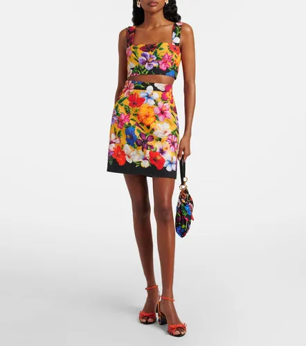 Mini-jupe en coton mélangé à fleurs - Dolce&Gabbana - Modalova