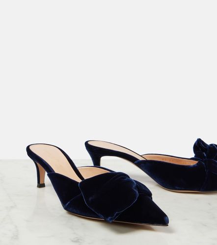 Mules 55 en velours à nœud - Gianvito Rossi - Modalova