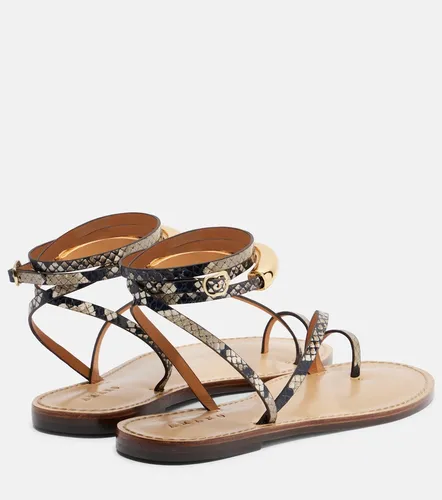 Sandales Kalahari en cuir façon serpent - Amanu - Modalova